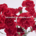 2014 Beautiful Red Carnation Seeds Flower Seeds for Cultivation